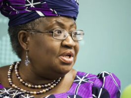 WTO Job: Okonjo-Iweala Says She's Uncowed