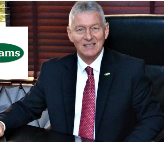 Under Gavin Young’s Watch, Chams Plc Records N100bn Loss Under Gavin Young’s Watch, Chams Plc Records N100bn Loss
