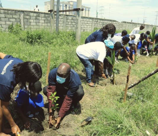 Dangote Volunteers Plant Trees to Boost Ecosystem Restoration Dangote Volunteers Plant Trees to Boost Ecosystem Restoration
