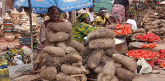 Food Crises Loom In Nigeria, Here’s Why Food Crises Loom In Nigeria, Here's Why