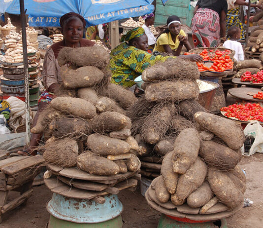 Food Crises Loom In Nigeria, Here’s Why Food Crises Loom In Nigeria, Here's Why