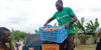 Farmnow Addresses Investors On ROI Concerns Farmnow Addresses Investors On ROI Concerns