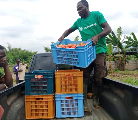 Farmnow Addresses Investors On ROI Concerns Farmnow Addresses Investors On ROI Concerns