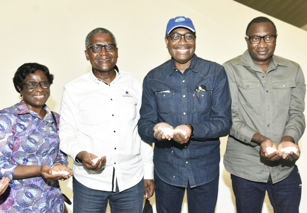 Dangote’s Petrochemicals, Fertiliser Plant will Accelerate Africa’s Growth, Says AfDB