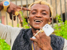 I've Released Over 400 Songs, Says Portable