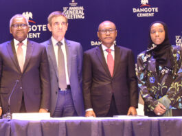 Dangote Cement Shareholders Up Dividend By 25% To N20 Per Share