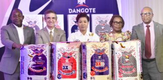 Dangote Cement To Reward Consumers With N1bn In New Promo